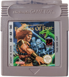 Wizards & Warriors X: The Fortress of Fear - with manual